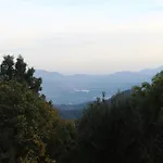 Icava